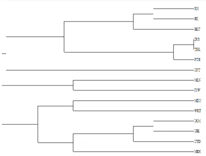 Gambar 3. Dendogram kemiripan genetik 14 klon ubi jalar 