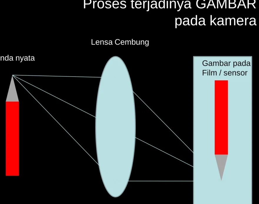 Gambar pada Film / sensor