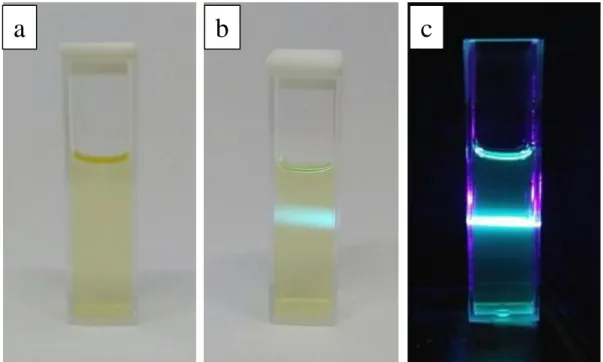 Figure 1. Digital photographs captured (a) under visible, (b and c) UV light exposure of the  cuvette containing C-dots sample prepared from cassava peels in daylight and dark condition 