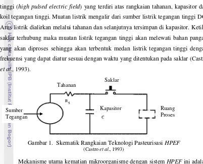 Gambar 1. menunjukkan skematik alat teknologi medan pulsa listrik tegangan 