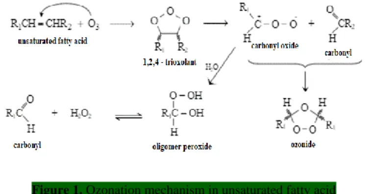 Figure 1. Ozonation mechanism in unsaturated fatty acid 