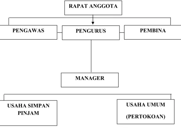 Gambar 4.1 Struktur Organisasi KP RI Lestari 