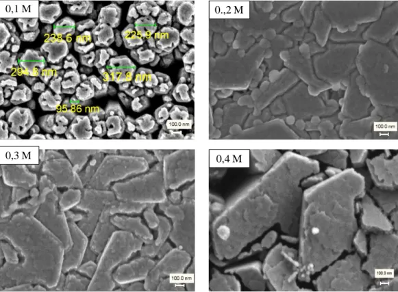 Gambar  4.4.  Mikrograf  FESEM  sampel-sampel  ZnO  terdop  galium  dengan  variasi     konsentrasi larutan penumbuh (Perbesaran 50.000x)