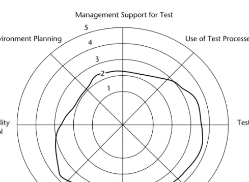 Figure 1-6 Example of a testing organization practicing testing as an art.