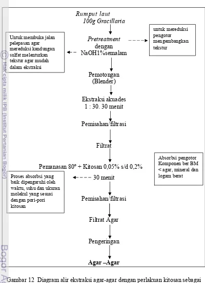 Gambar 12  Diagram alir ekstraksi agar-agar dengan perlakuan kitosan sebagai 
