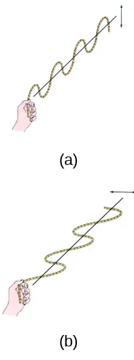 Gambar 2.11 Gelombang transversal pada tali terpolarisasi linear (a) pada bidang vertikal dan(b) pada bidang horisontal.