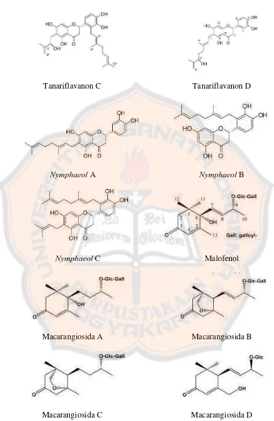Gambar 5. Struktur kandungan senyawa daun M. tanarius (Phommart, et al., 2005 ; Matsunami, et al., 2006) 