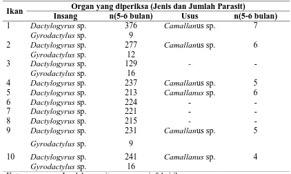 Tabel 4.3. Jenis dan Jumlah Parasit yang ditemukan pada organ insang dan saluran pencernaan (usus) Ikan Patin (Pangasius djambal) Umur 