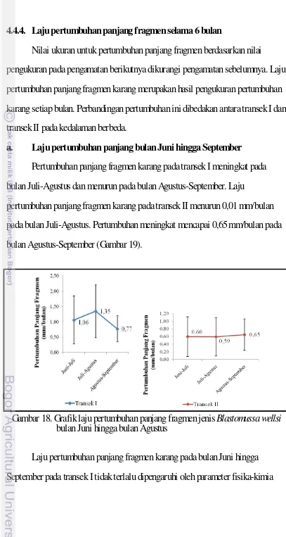 Gambar 18. Grafik laju pertumbuhan panjang fragmen jenis Blastomussa wellsi 