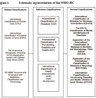Figure 1: Schematic representation of the WHO-FIC 