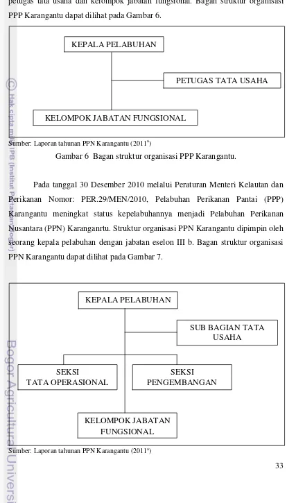 Gambar 6  Bagan struktur organisasi PPP Karangantu. 