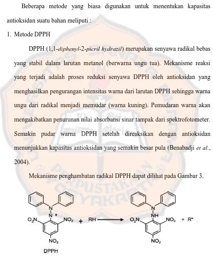 Gambar 3. Mekanisme penghambatan radikal DPPH (Benabadji et al., 2004) 