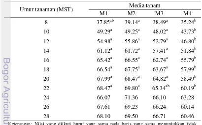 Tabel 4. Pengaruh media tanam terhadap tinggi tunas jahe (cm) pada 8 – 28 MST 