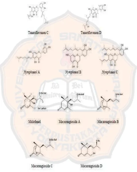 Gambar 1. Struktur kandungan senyawa daun M. tanarius (Matsunami, dkk., 2006 dan Phommart, dkk., 2005) 