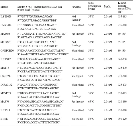 Table 1. Sekuen, pewarna, dan suhu penempelan primer yang digunakan untuk  amplifikasi fragmen DNA mikrosatelit  yang direkomendasi ISAG/FAO (2004)  