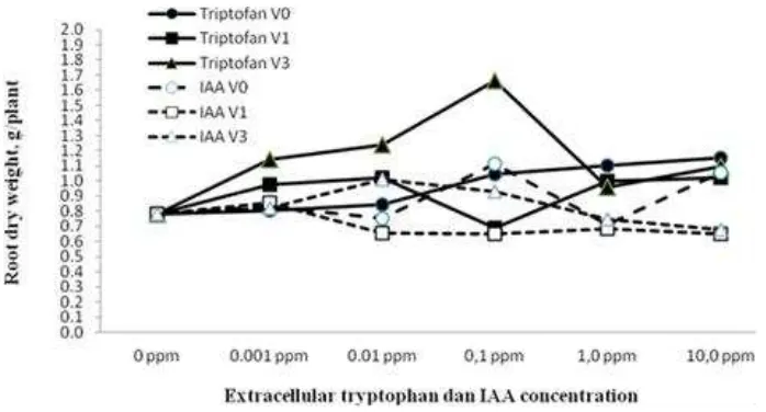Figure. 2. sterile sand planting medium. phytohormones (amino acid tryptophan and IAA) on root dry weight of soybean planted on Effect of the type, application time and concentrations of extracellular  