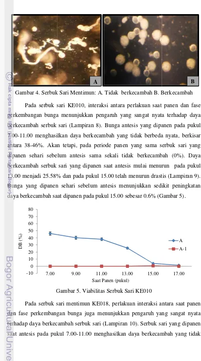 Gambar 5. Viabilitas Serbuk Sari KE010 G