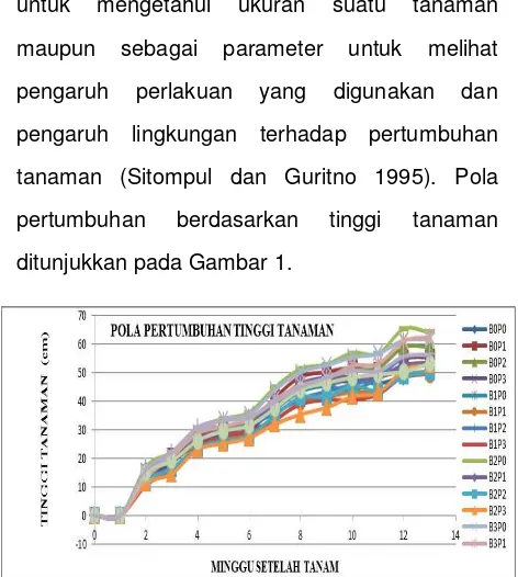 Gambar 1. Pola Pertumbuhan (Tinggi Tanaman) Tanaman Padi Beras Merah 