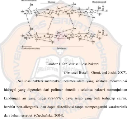 Gambar 1. Struktur selulosa bakteri  