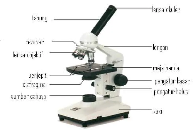 Gambar 1. Komponen Mikroskop 
