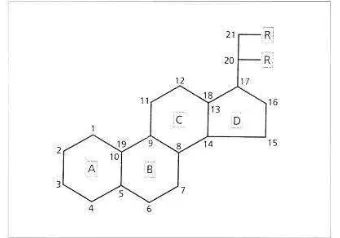 Gambar 5 Konfigurasi dasar kortikosteroid (sumber: Kansky 2000) 