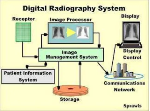 Gambar 2.3 Prinsip kerja digital Radiografi 