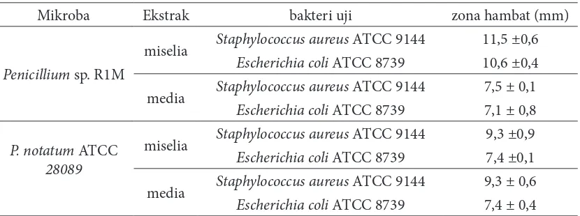 Tabel 1 Hasil uji antibakteri isolat Penicillium sp. R1M dan P. notatum ATCC 28089
