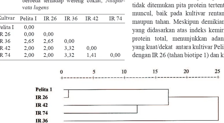 Tabel 2.  Matrik jarak euclid kemiripan pola protein 