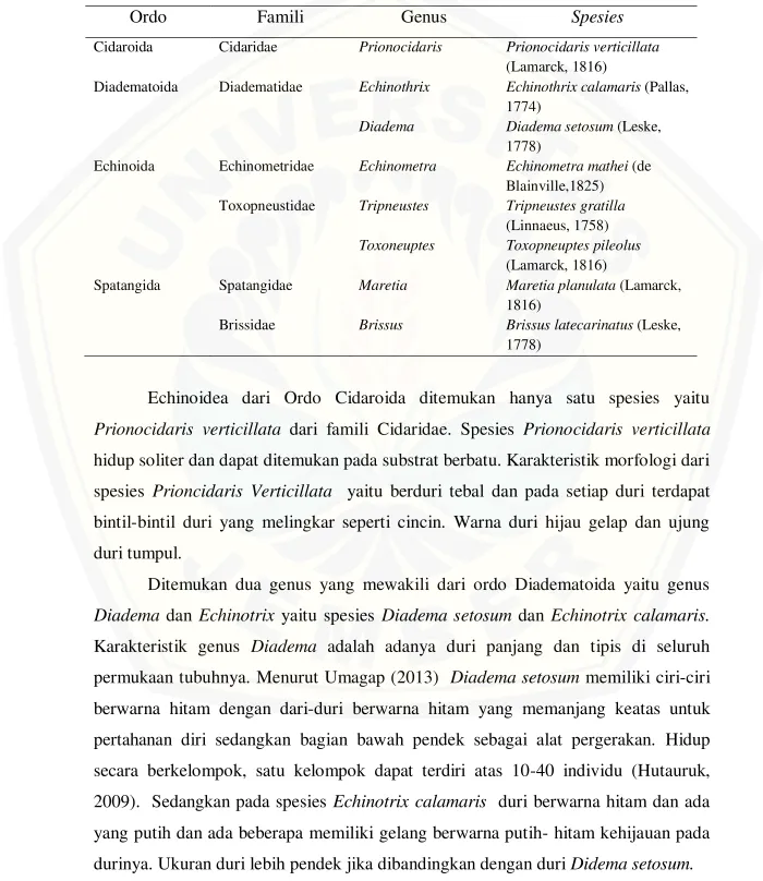 Tabel 4.1 Komposisi spesies Echinoidea 