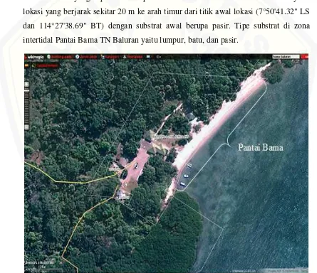 Gambar 3.1. Lokasi Zona Intertidal Pantai Bama Taman Nasional Baluran (Wikimapia, 2013) 