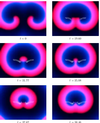 Figure 7:Interaction and collision of a pair of spiral waves in the plane.MPEG-Movie [26.4MB,gzipped]