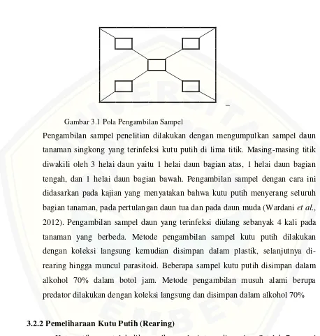 Gambar 3.1 Pola Pengambilan Sampel 