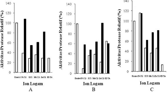 Gambar 3 Pengaruh suhu pada protease dari bakteri tumbuhan rawa (A= isolat   T1P4, B=H1P2 dan C=K1P4)
