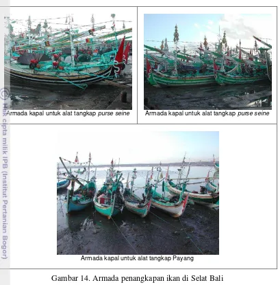 Gambar 14. Armada penangkapan ikan di Selat Bali 