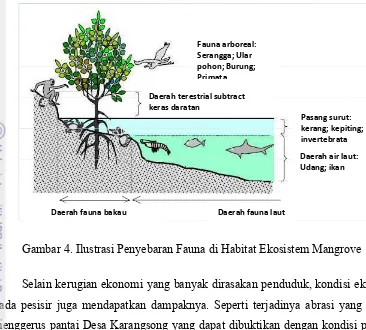 Gambar 4. Ilustrasi Penyebaran Fauna di Habitat Ekosistem Mangrove 