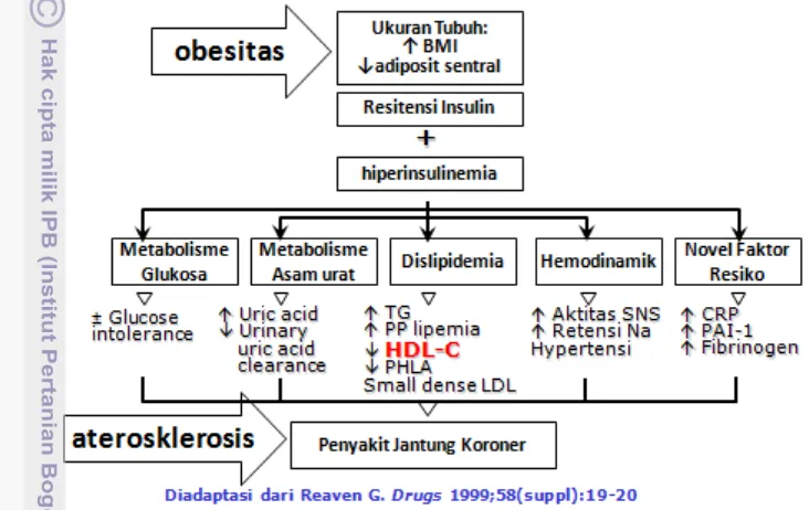 Gambar 7   Diagram alir perspektif sindrom metabolik dengan pemicu obesitas 