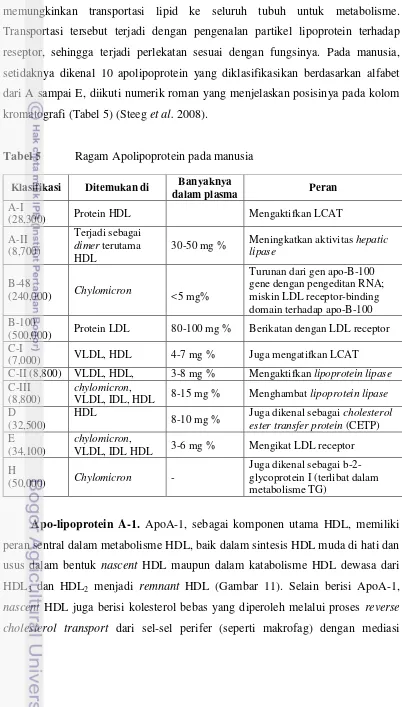 Tabel 5  Ragam Apolipoprotein pada manusia 