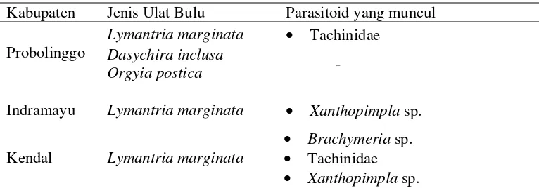 Tabel 3  Jenis ulat bulu lain pada pertanaman mangga dan parasitoidnya 