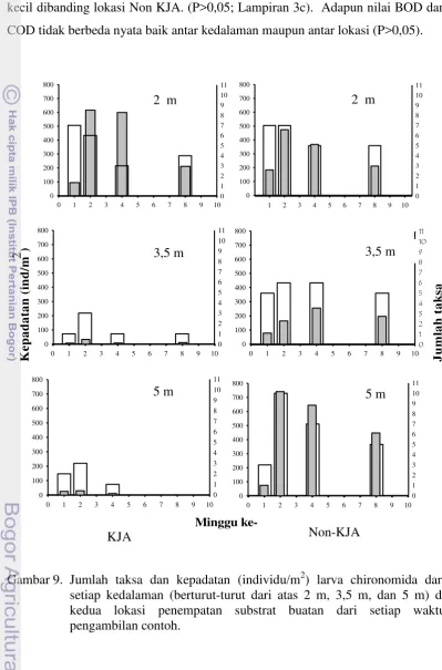 Gambar 9. Jumlah taksa dan kepadatan (individu/m2) larva chironomida dari 