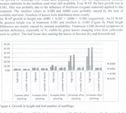 Figure 4. Growth in height and leaf number of seedlings