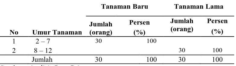 Tabel 14. Komposisi Umur Tanaman Petani Jambu Biji Yang Baru Menghasilkan dan Yang Sudah Lama Menghasilkan 