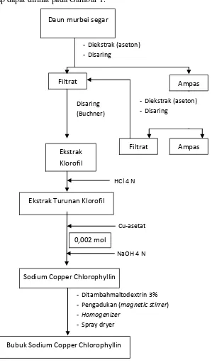 Gambar 2. Diagram alir pembuatan bubuk klorofil daun murbei 
