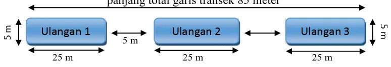 Gambar 5: Underwater Visual Census” (UVC).