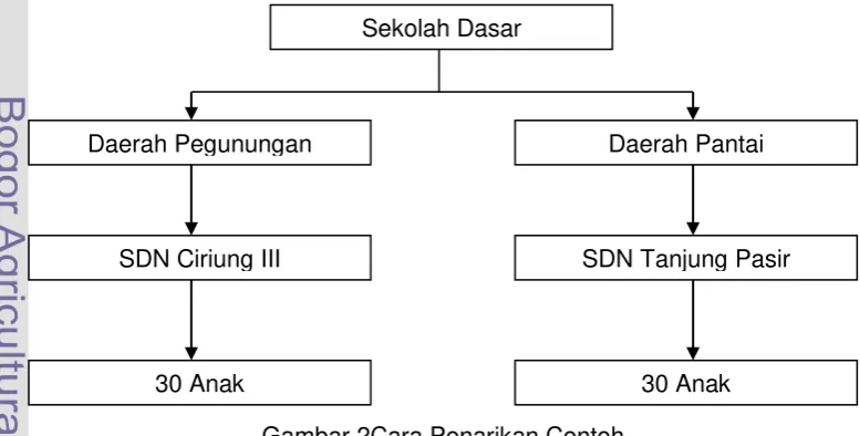 Gambar 2Cara Penarikan Contoh 