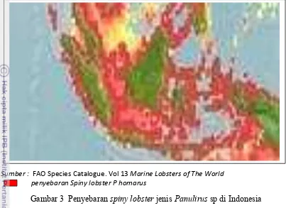 Gambar 3  Penyebaran spiny lobster jenis Panulirus sp di Indonesia
