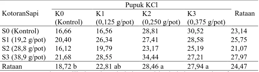 Tabel 5. Berat Kering Tajuk dengan PemberianPupuk KCl dan Kotoran Sapi.Pupuk KCl 