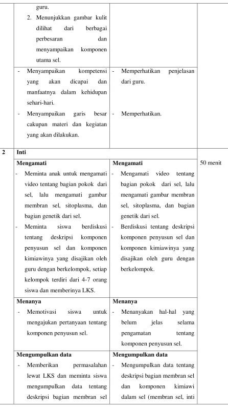 gambar mengamati gambar membran 