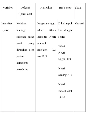 Tabel 3.2 : Defenisi Operasional 