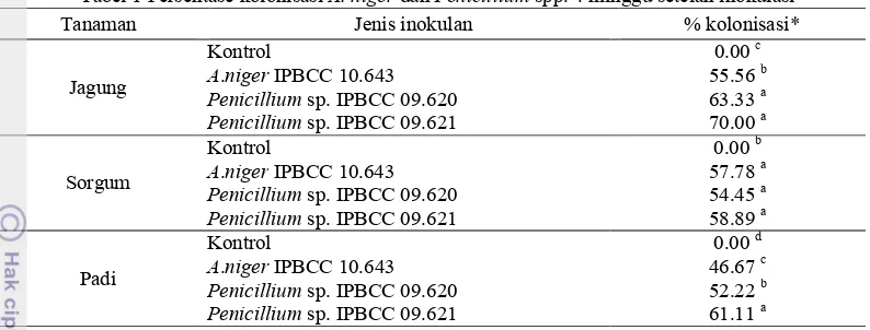 Tabel 1 Persentase kolonisasi A. niger dan Penicillium spp. 4 minggu setelah inokulasi