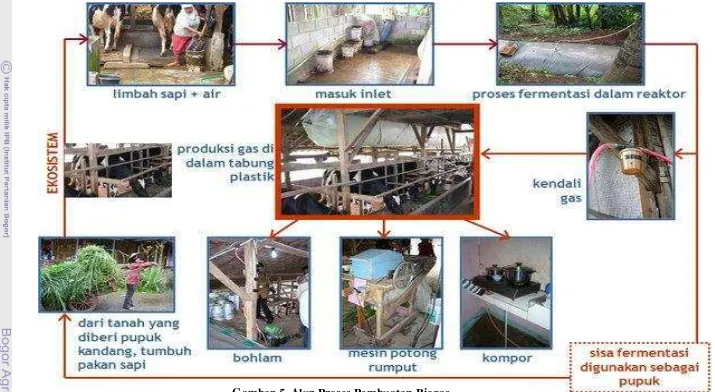 Gambar 5. Alur Proses Pembuatan Biogas 